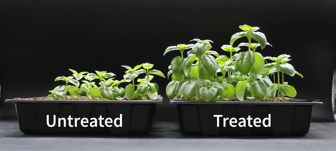 Untreated vs Treated Crops