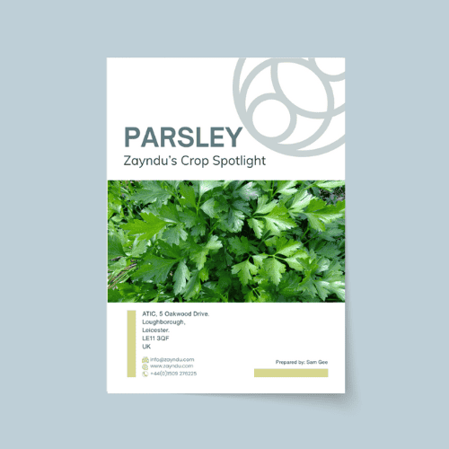 Crop Spotlight: Parsley