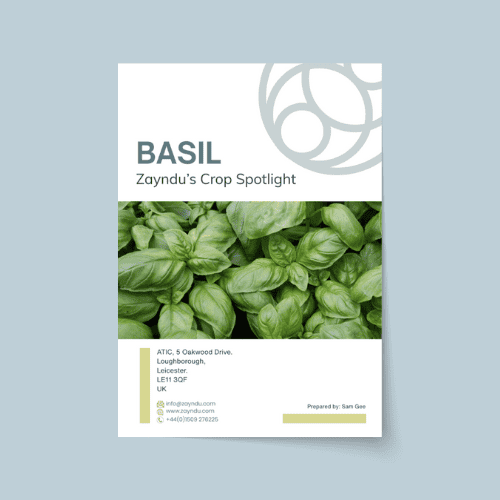 Crop Spotlight: Basil
