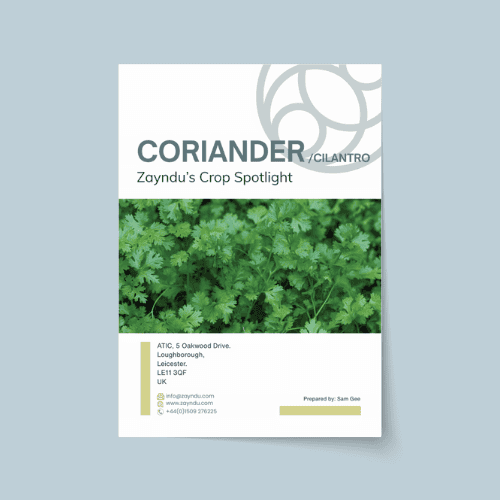 Crop Spotlight: Cilantro