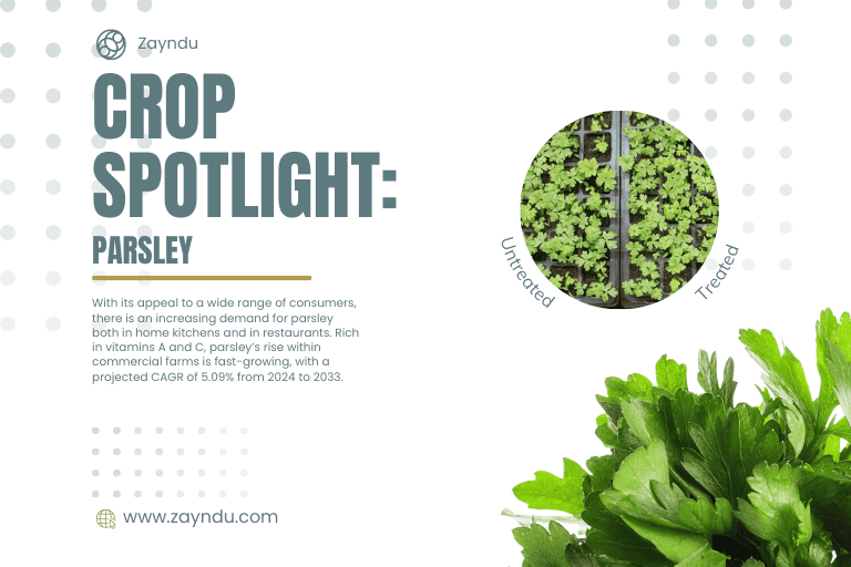 Crop Spotlight: Parsley
