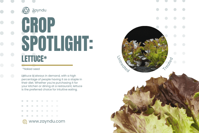 Crop Spotlight: Lettuce (Naked Seed)