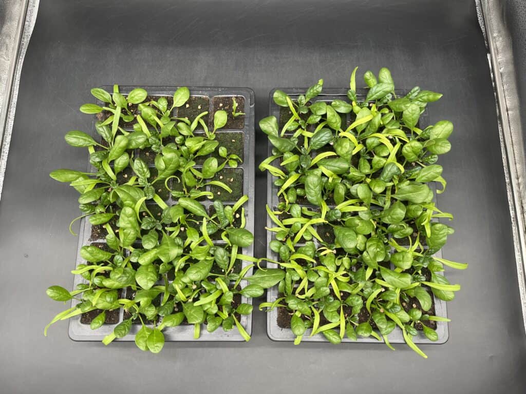 How to Consistently Boost Crop Yield 1 Zayndu