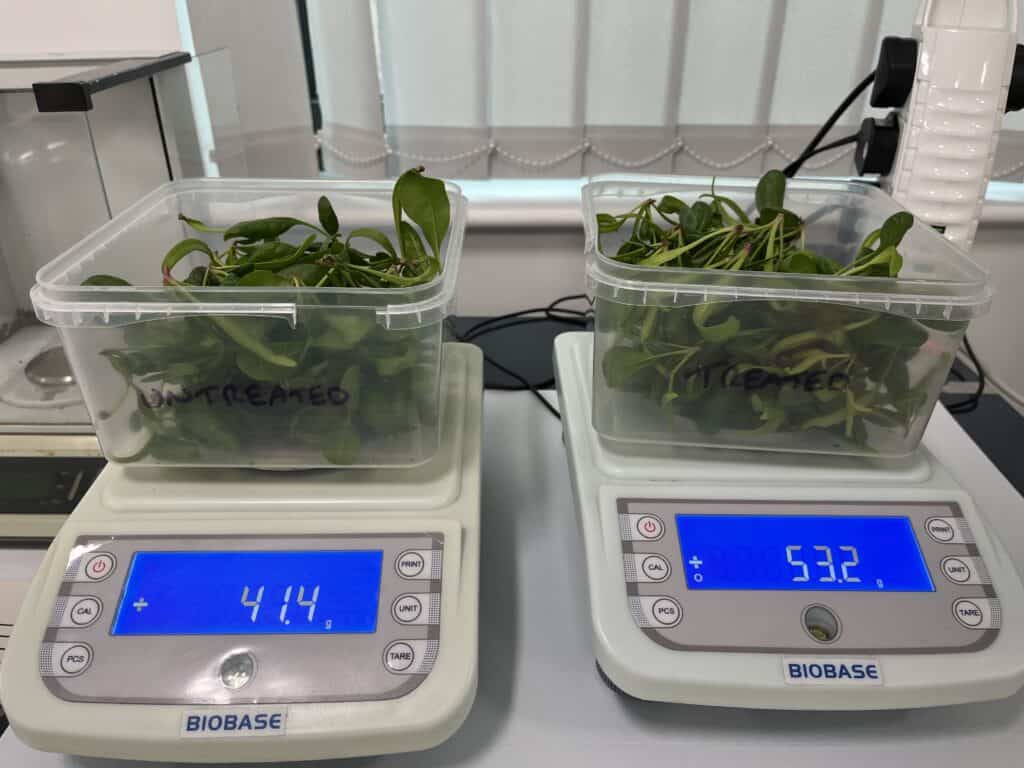 How to Consistently Boost Crop Yield 2 Zayndu