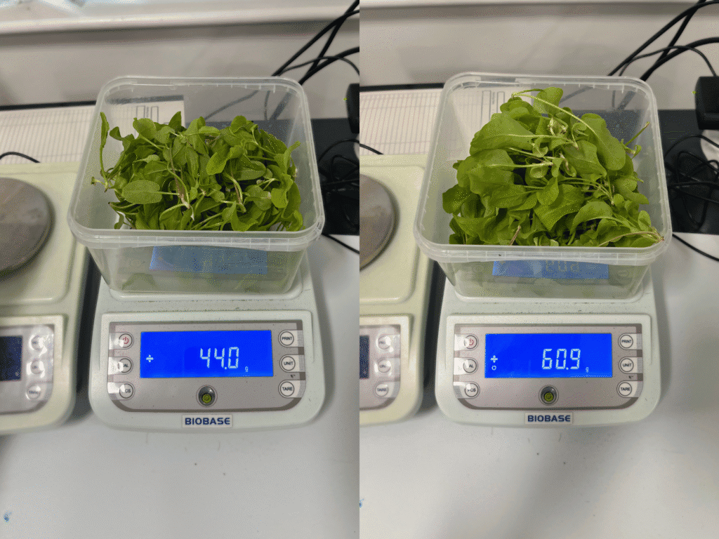 How to Consistently Boost Crop Yield 4 Zayndu