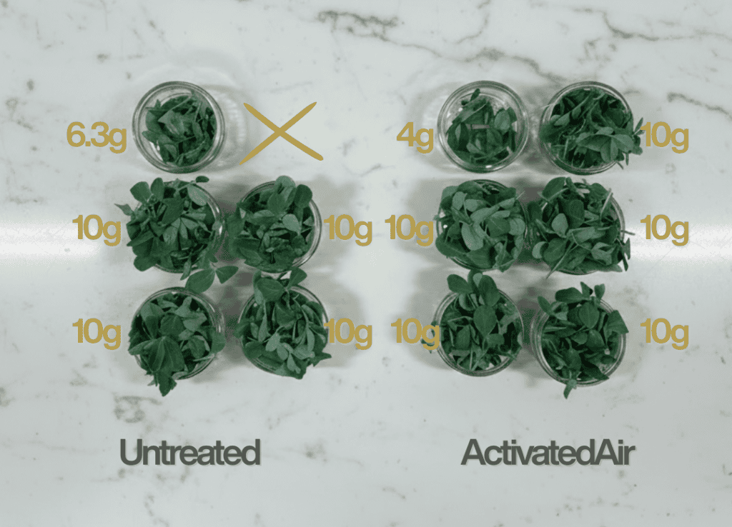 Zayndu ActivatedAir-treated vs Untreated small-scale harvest comparison