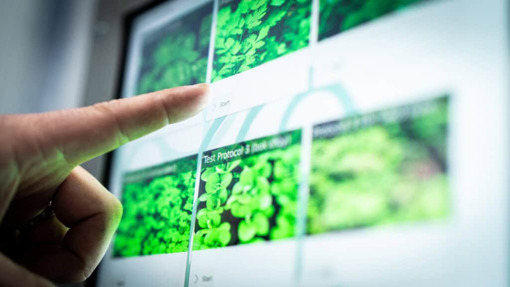 How to Improve Crop Consistency in Commercial Greenhouses 2 Zayndu