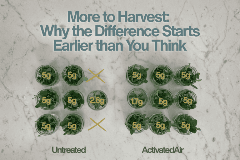 More to Harvest: Why the Difference Starts Earlier than You Think - cover photo