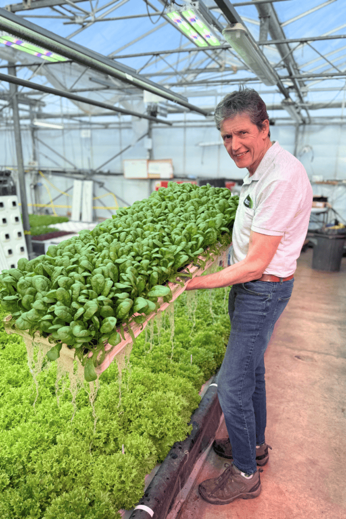 Inside JEPCO’s sustainable shift to indoor leafy salad production