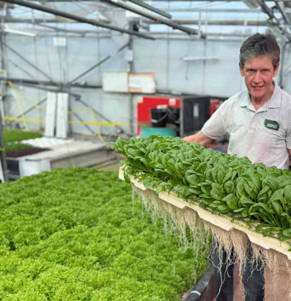 JEPCO grower with a tray of spinach grown from ActivatedAir primed seed